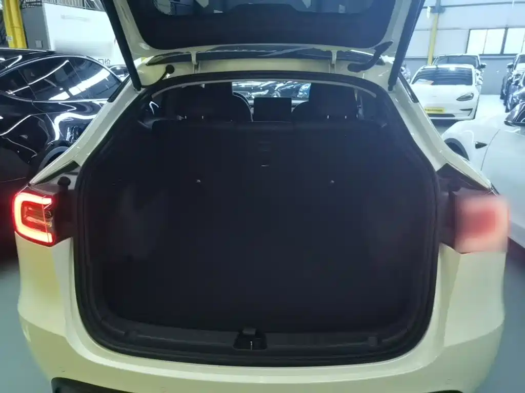 Tesla Model Y — миниатюра 19