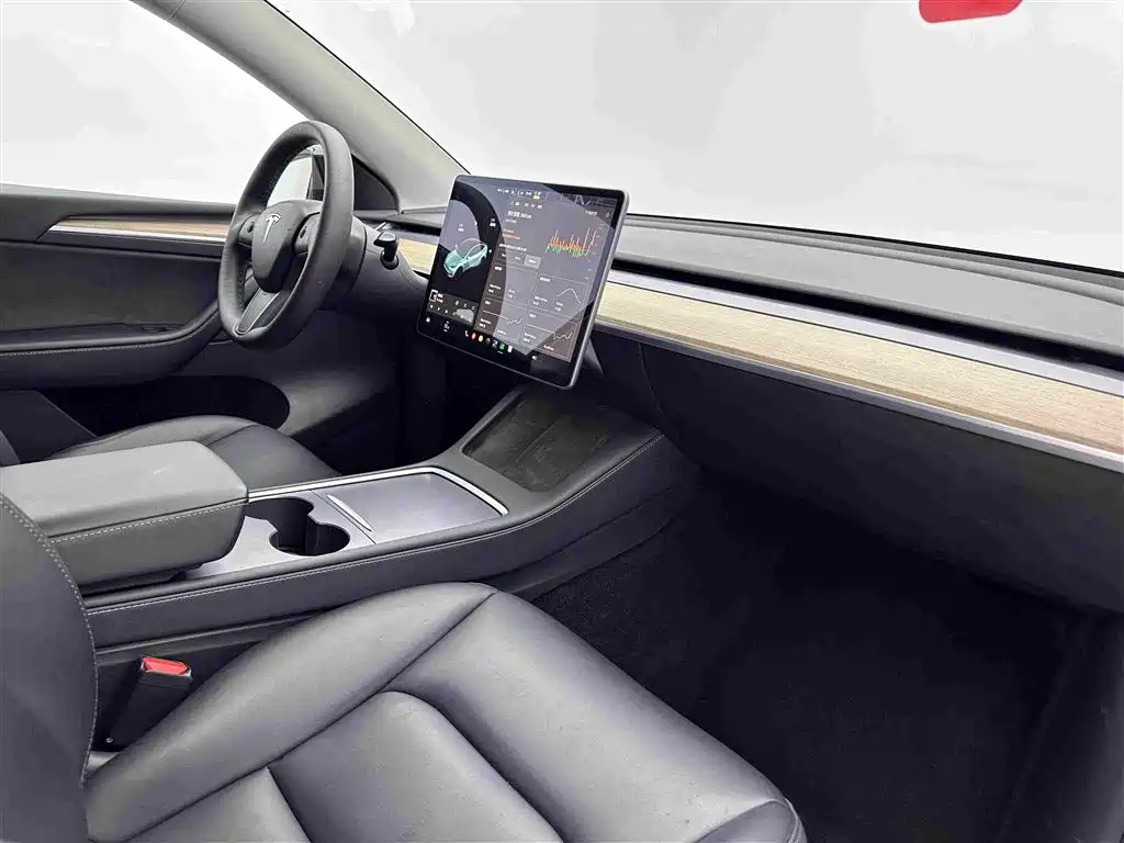 Tesla Model Y — миниатюра 17
