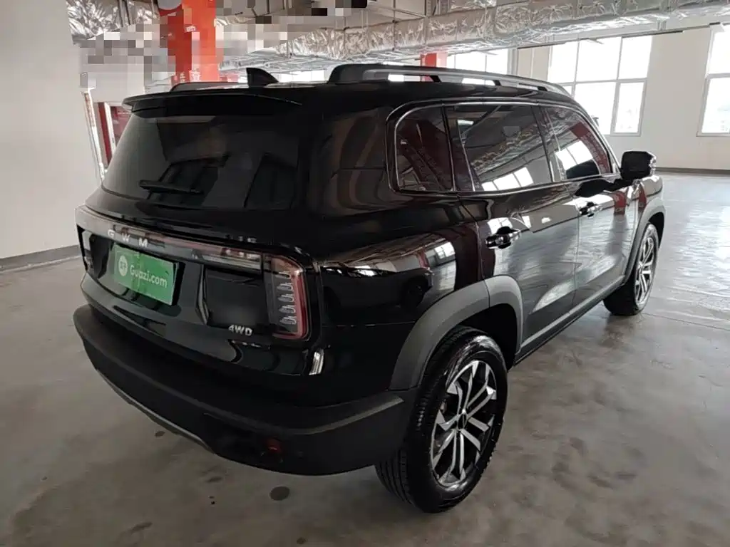 Haval Big Dog — миниатюра 7