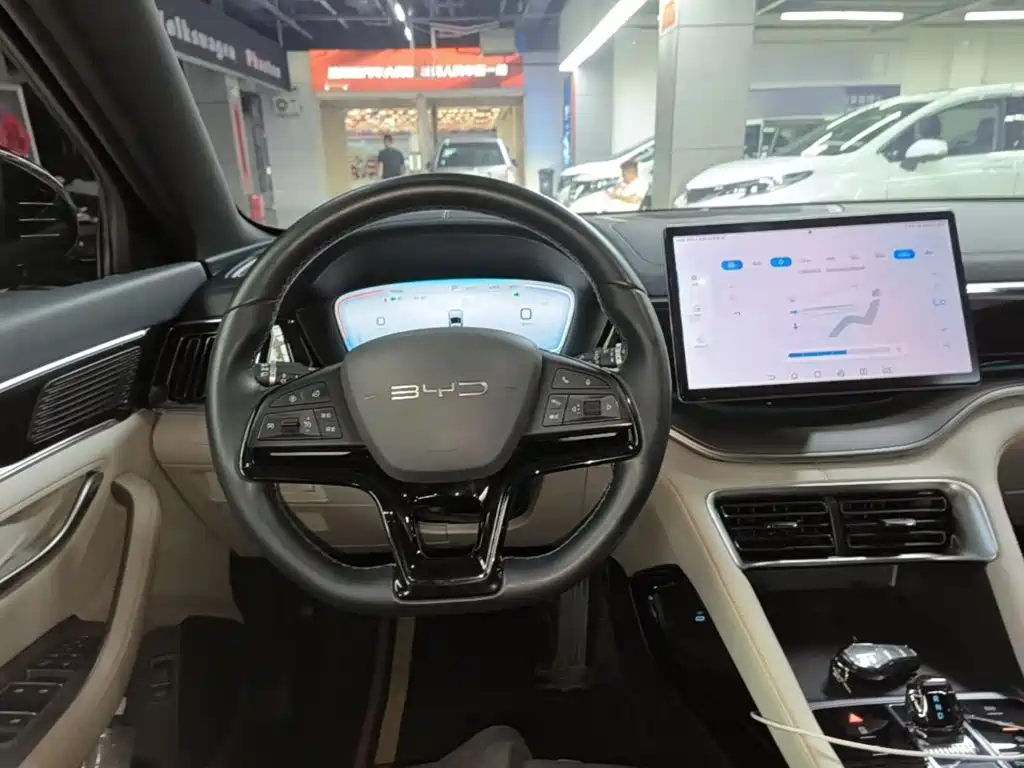 BYD PLUS New Energy — миниатюра 11