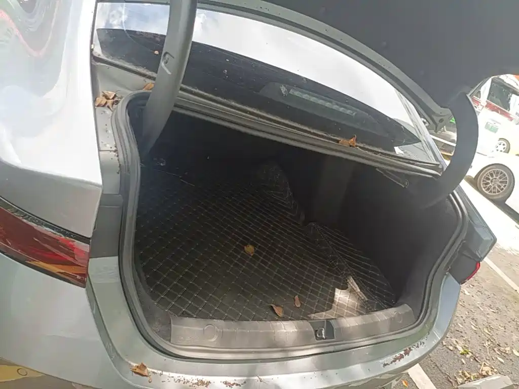 BYD Qin PLUS — миниатюра 19