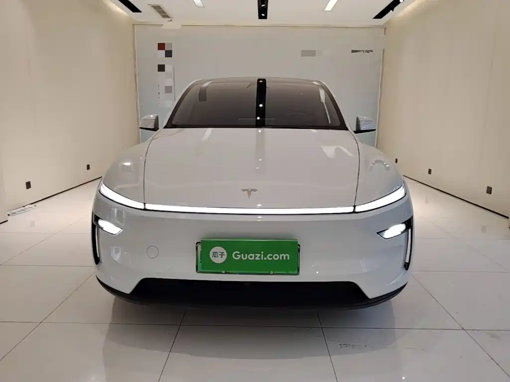 Tesla Model Y — миниатюра 3