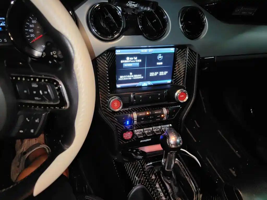 Ford Mustang — миниатюра 14