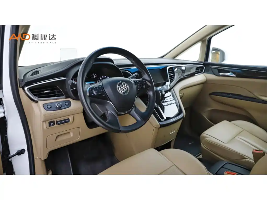 Buick GL8 — миниатюра 6