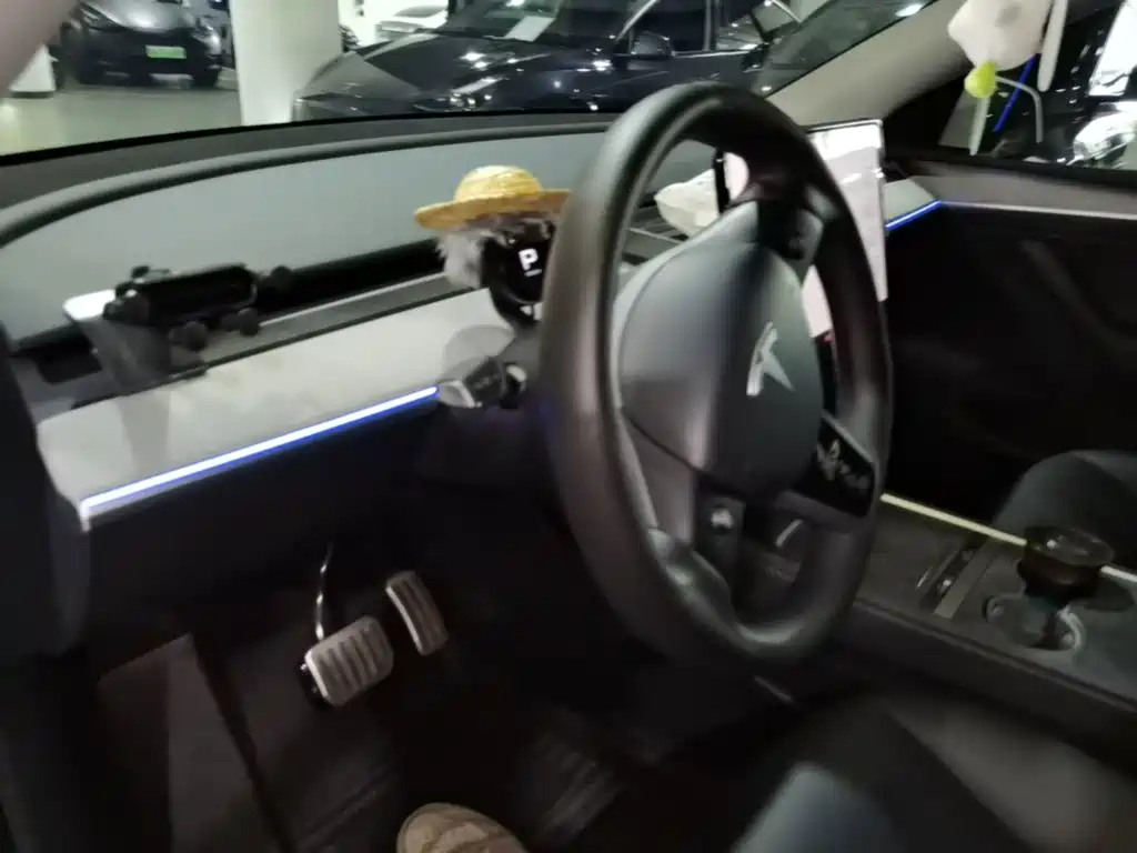 Tesla Model Y — миниатюра 10