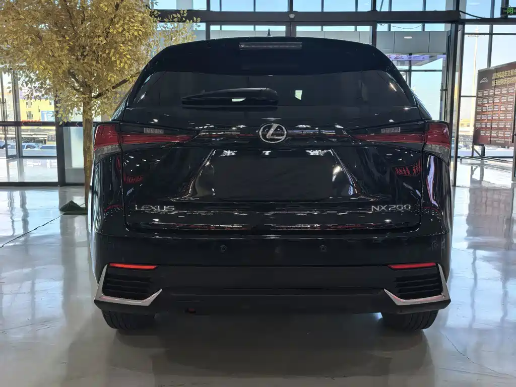 Lexus NX — миниатюра 19