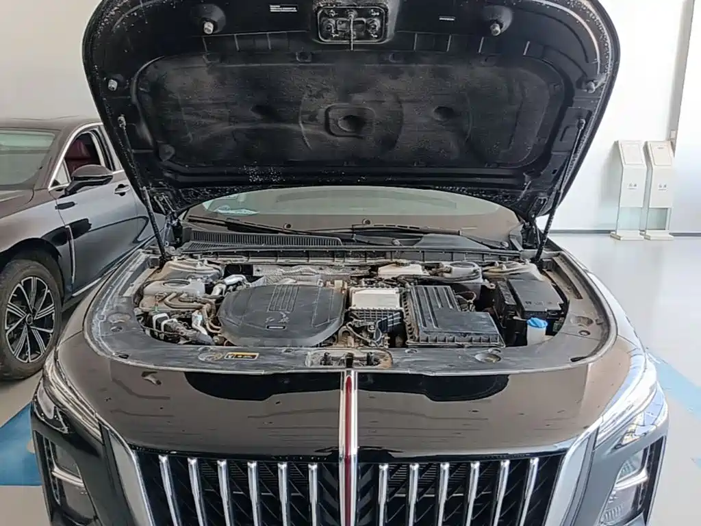 Hongqi Hongqi H5 PHEV — миниатюра 20
