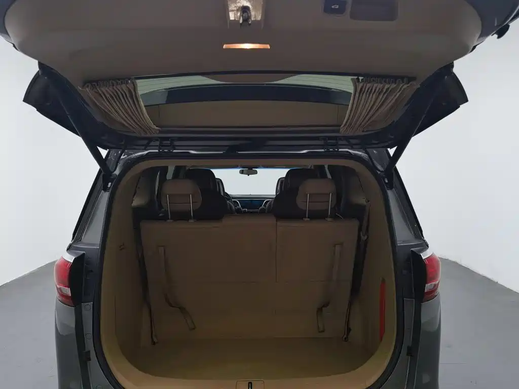Buick GL8 — миниатюра 16