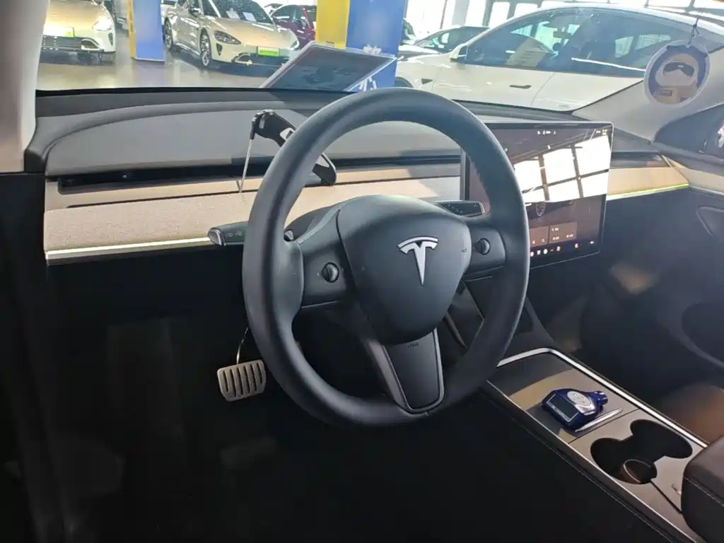 Tesla Model Y — миниатюра 10