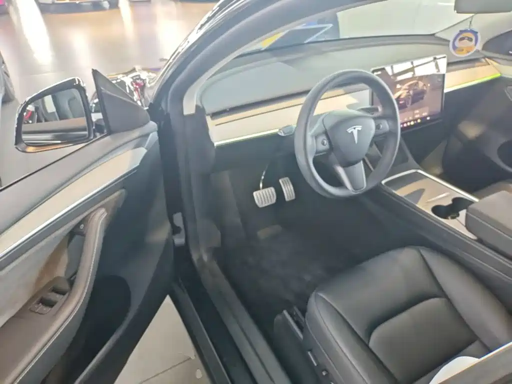 Tesla Model Y — миниатюра 16