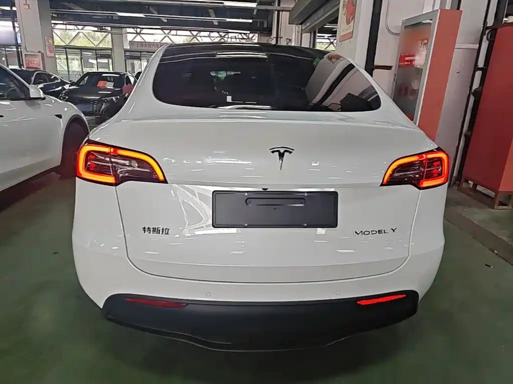 Tesla Model Y — миниатюра 6
