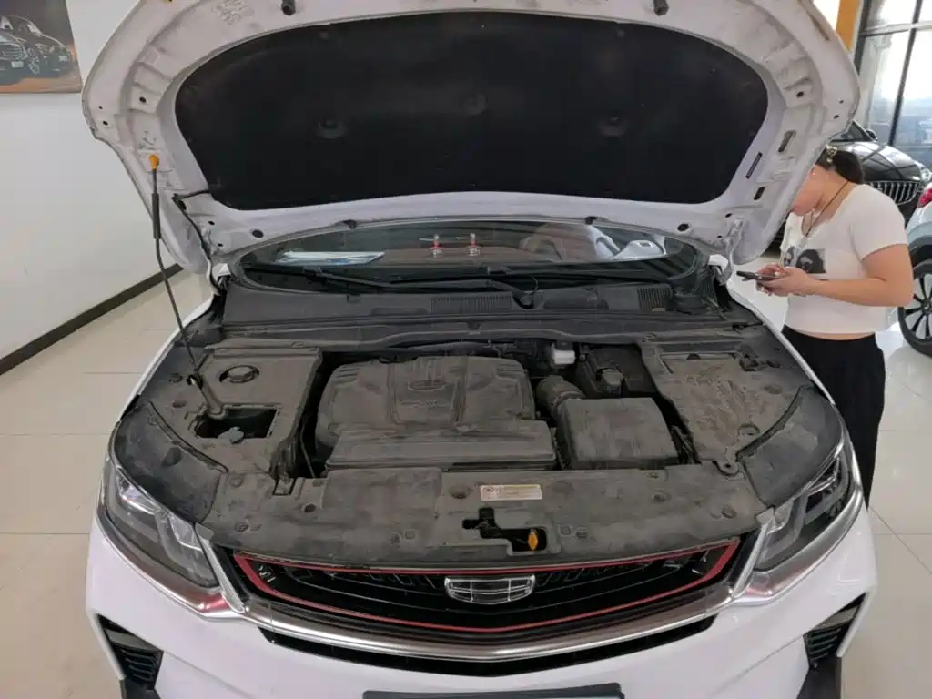 Geely Binyue — миниатюра 20