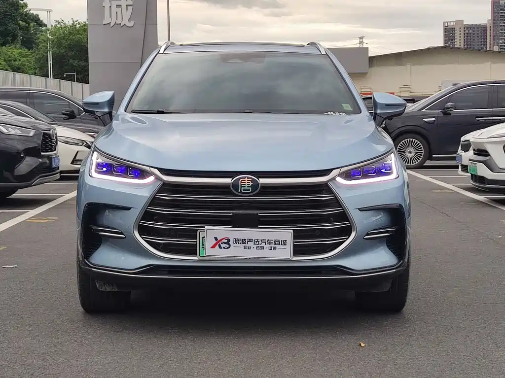 BYD Tang New Energy — миниатюра 2