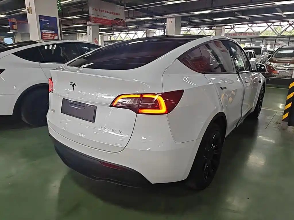 Tesla Model Y — миниатюра 7