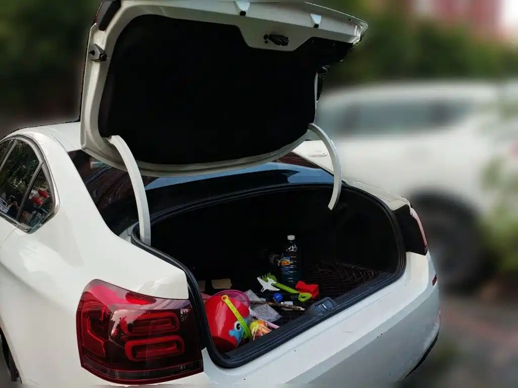 Citroen C5 — миниатюра 10
