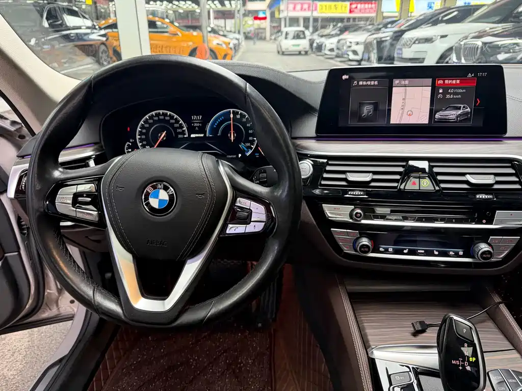 BMW 5 Series New Energy 530Le Luxury Package, фото 12