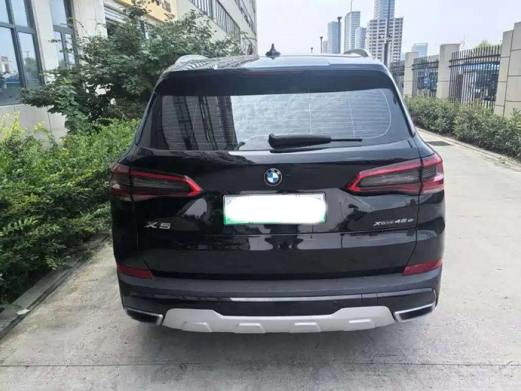 BMW X5 New Energy (Import) — миниатюра 9