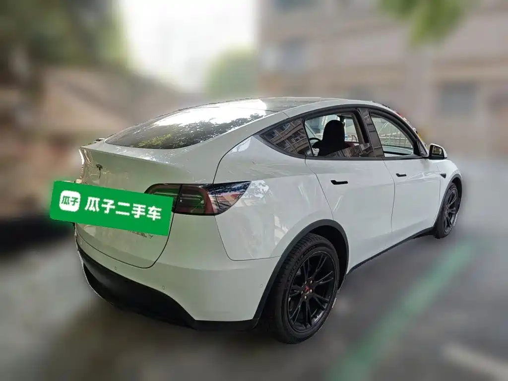 Tesla Model Y — миниатюра 6