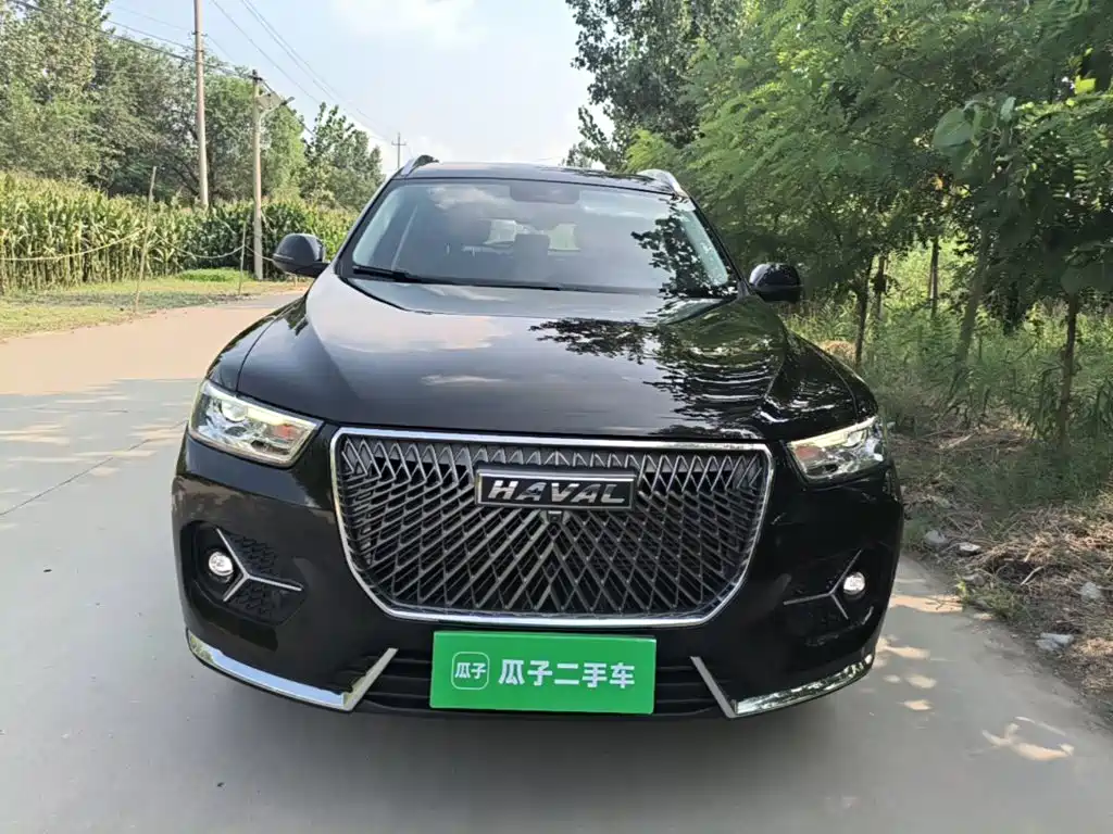 Haval H6 — миниатюра 3