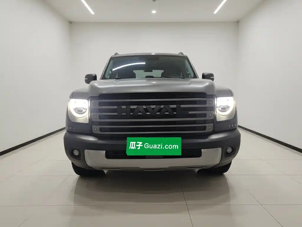 Haval Menglong New Energy — миниатюра 2