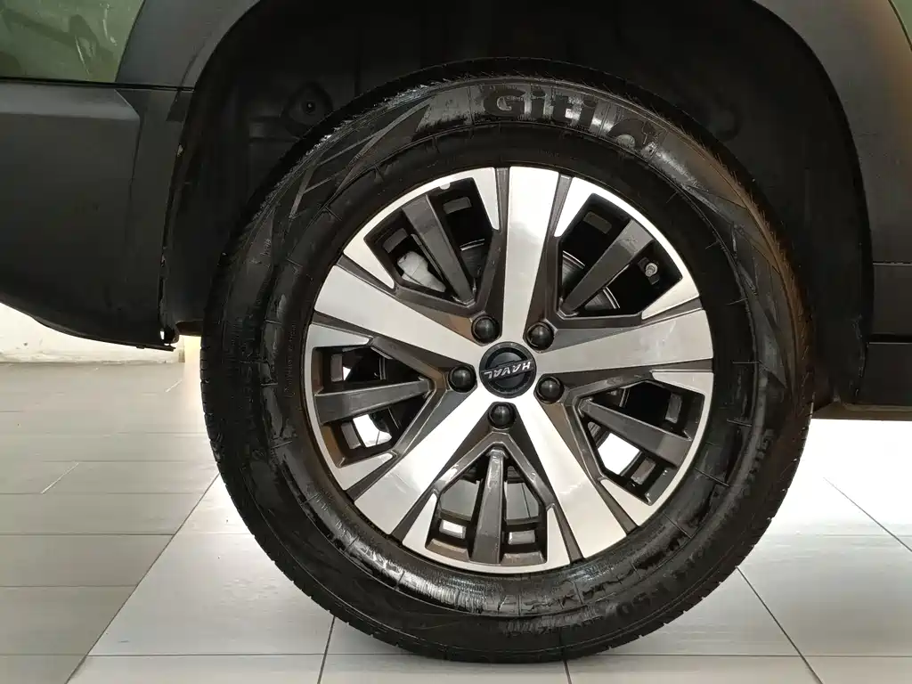 Haval Big Dog — миниатюра 32