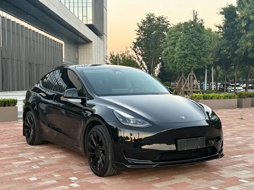 Tesla Model Y — миниатюра 3