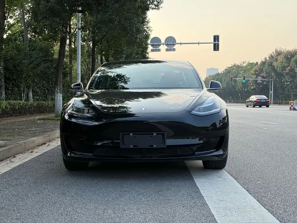 Tesla Model 3 — миниатюра 2
