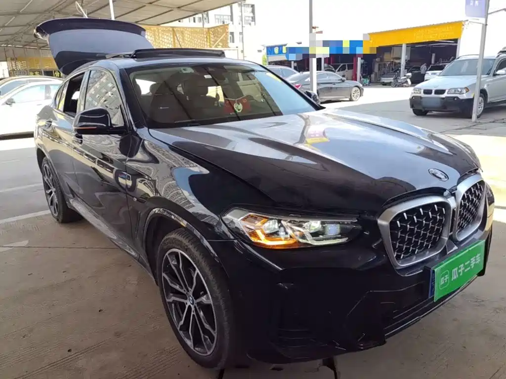 BMW X4 — миниатюра 4