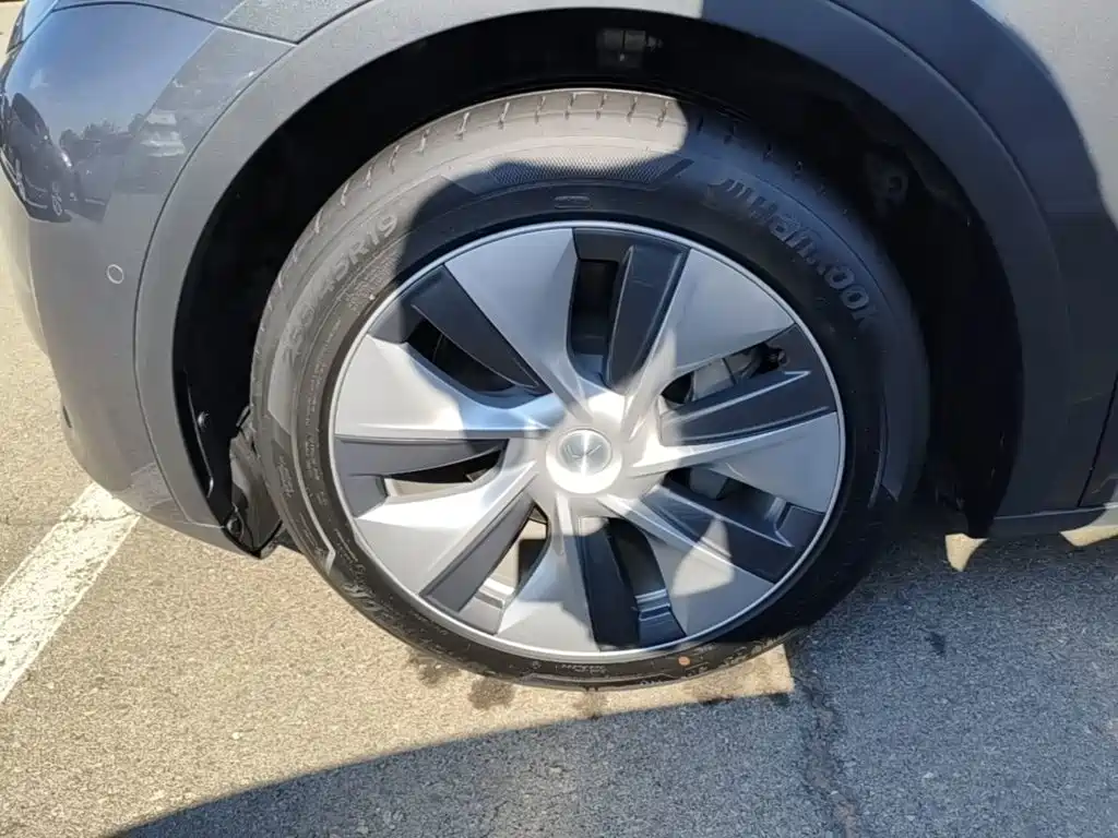 Tesla Model Y — миниатюра 23