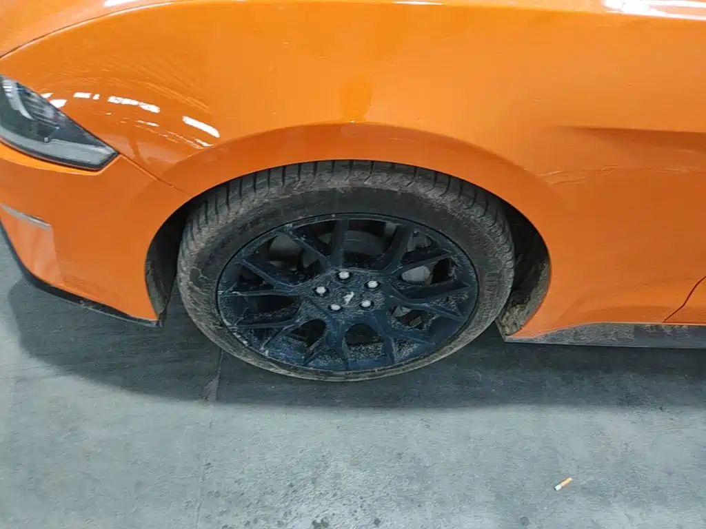 Ford Mustang — миниатюра 23