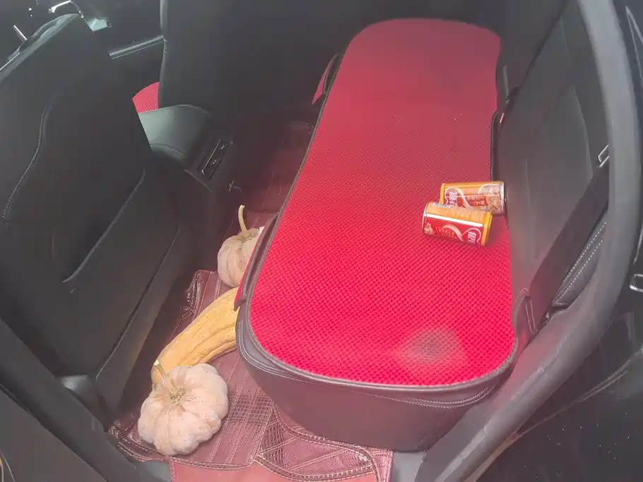 Haval Big Dog PLUS — миниатюра 11
