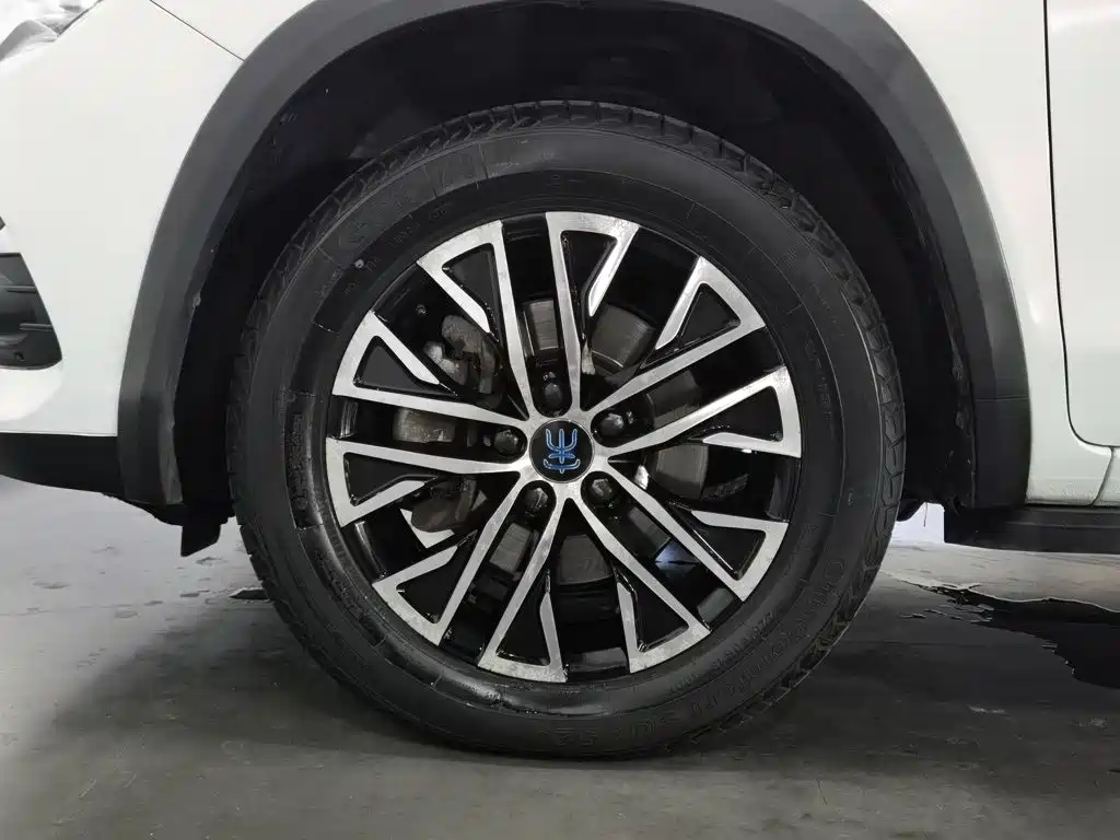 BYD New Energy — миниатюра 17