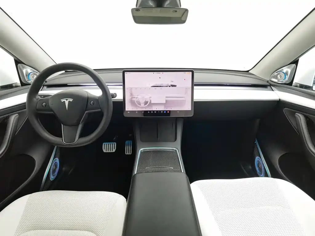 Tesla Model Y — миниатюра 5