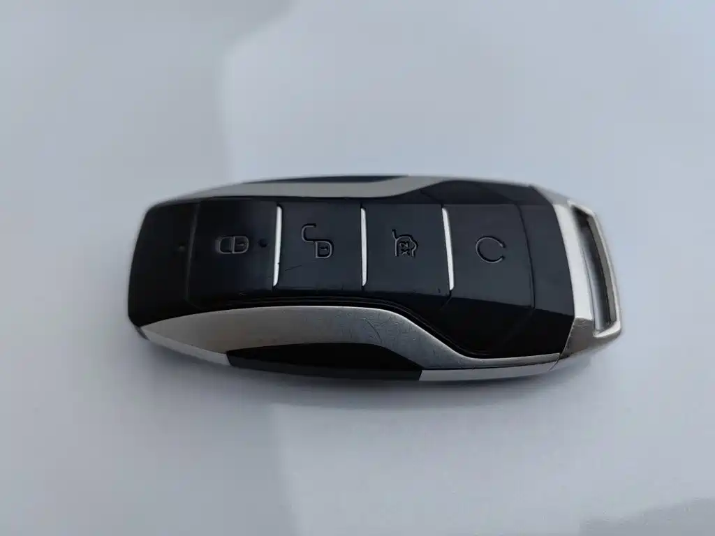 BYD PLUS — миниатюра 19