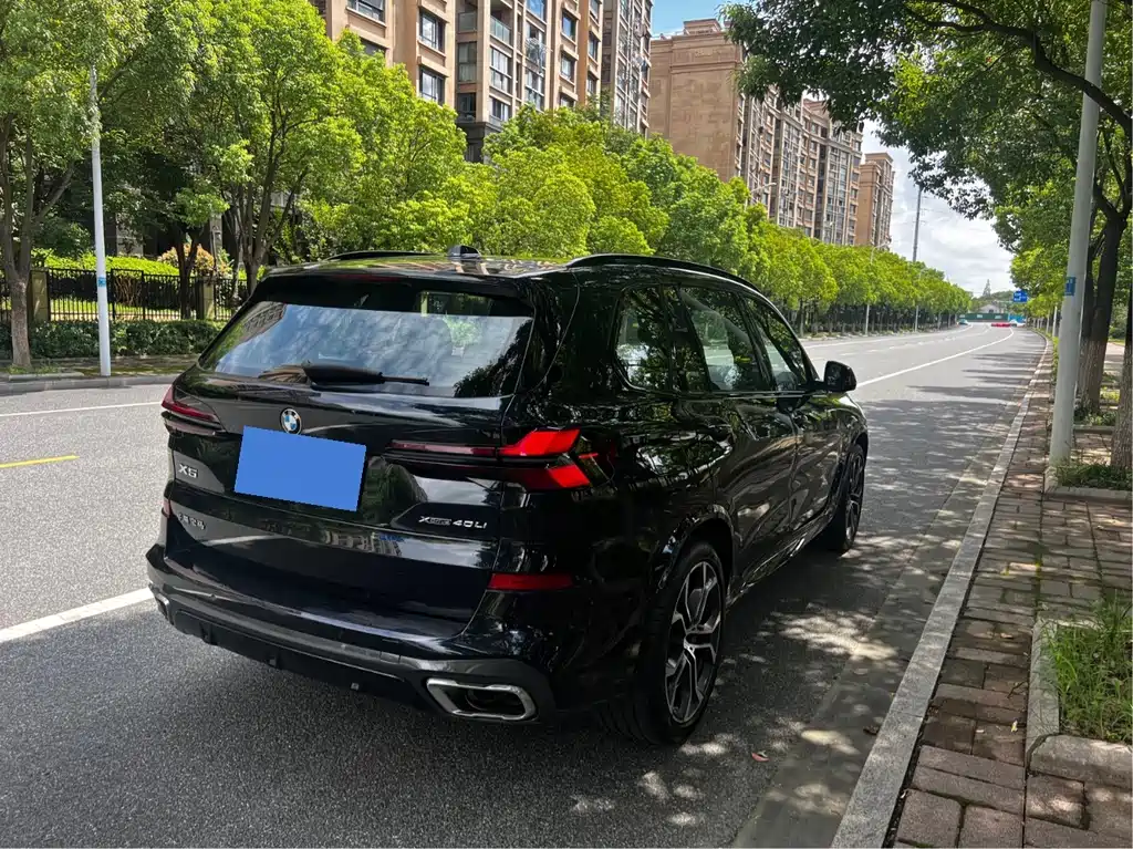 BMW X5 — миниатюра 7