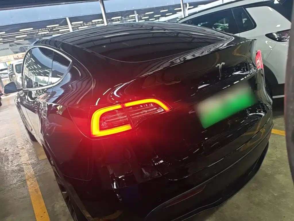 Tesla Model Y — миниатюра 5
