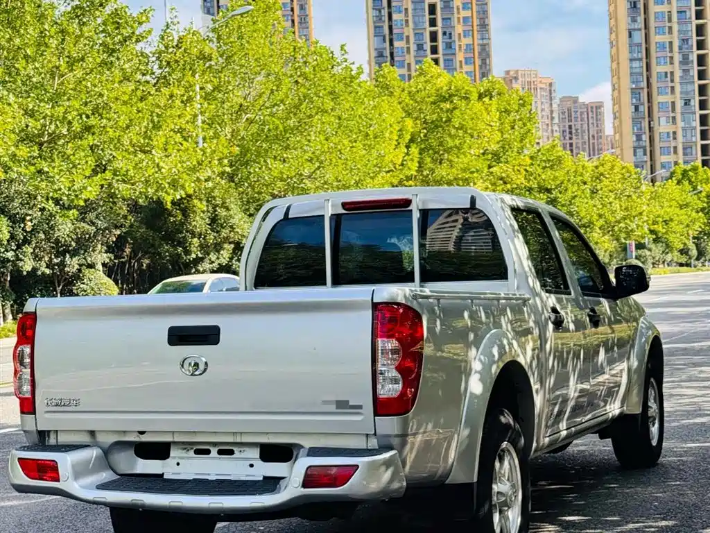 GREAT WALL FENGJUN 5