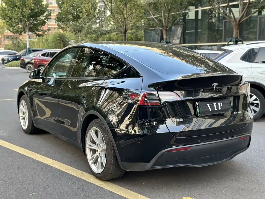 Tesla Model Y — миниатюра 7