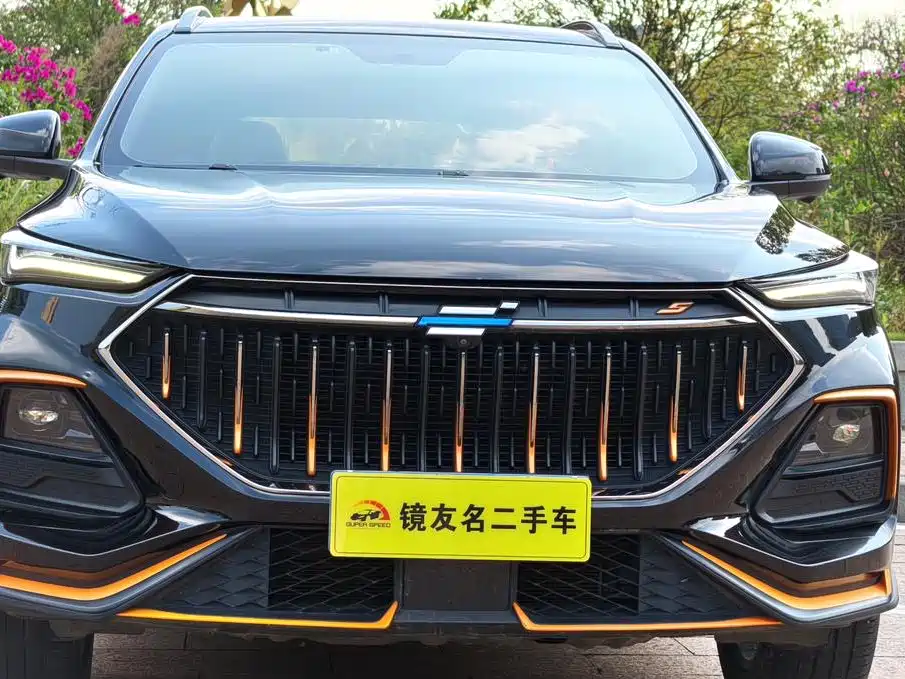 Oshan Oushang X5 — миниатюра 7