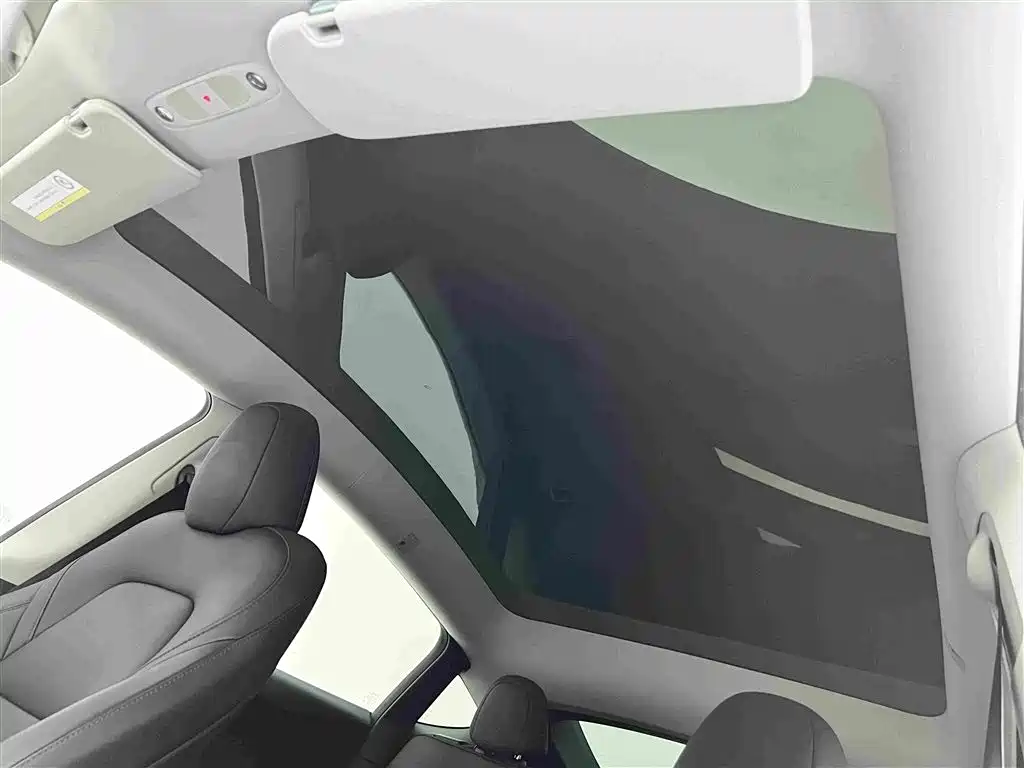 Tesla Model Y — миниатюра 8