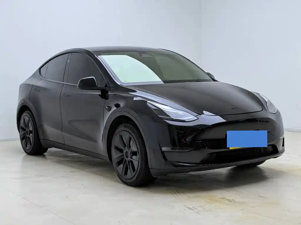 Tesla Model Y — миниатюра 3