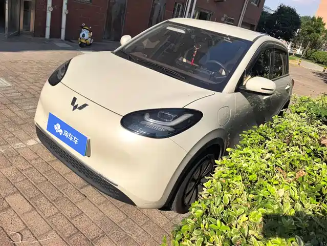 WULING AUTOMOBILE WULING BINGGUO 2025