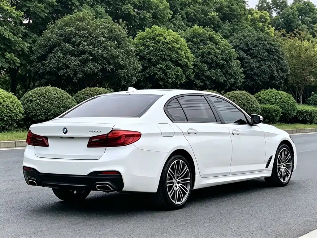 BMW 5 Series — миниатюра 10