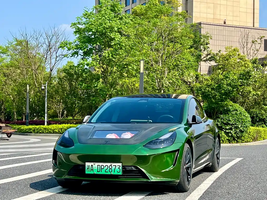 Tesla Model 3 2022