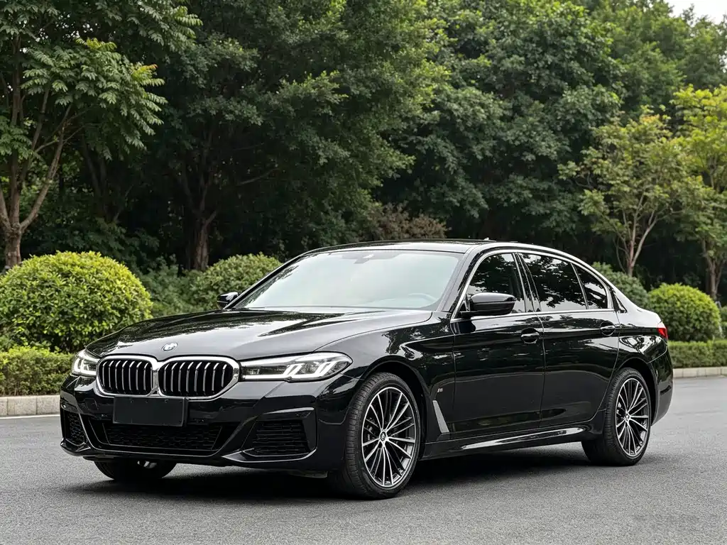 BMW 5 Series — миниатюра 9