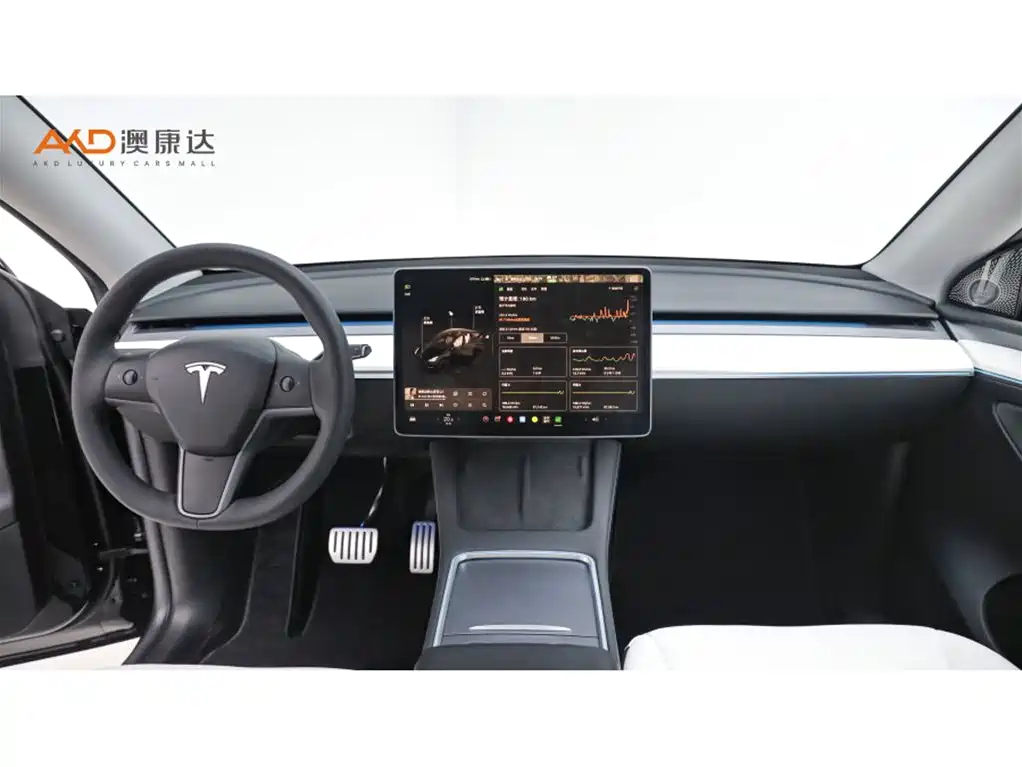 Tesla Model Y — миниатюра 5