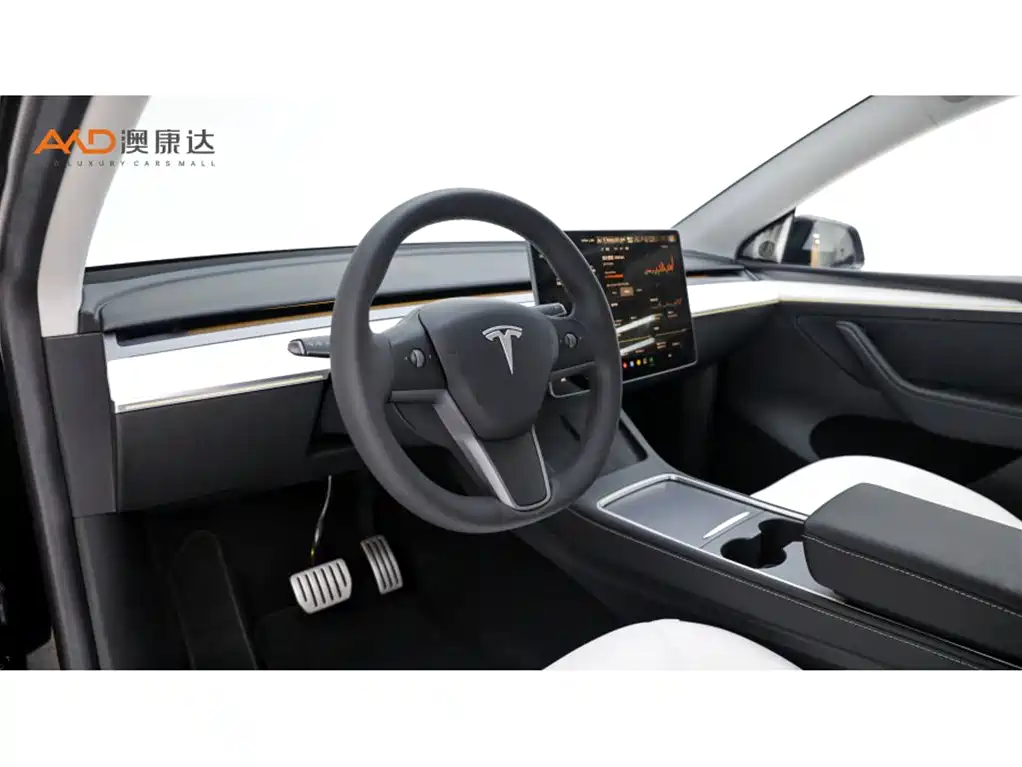 Tesla Model Y — миниатюра 6