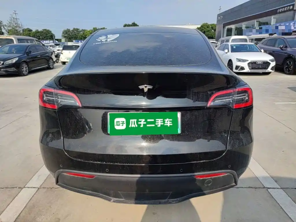 Tesla Model Y — миниатюра 6