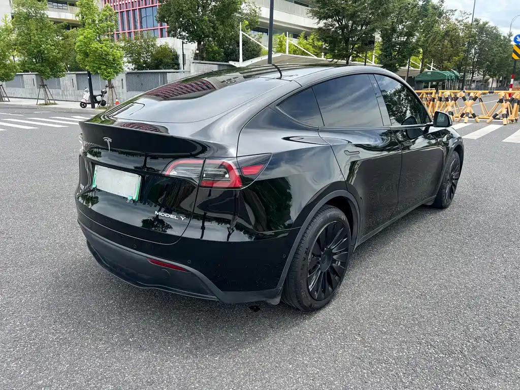 Tesla Model Y — миниатюра 7