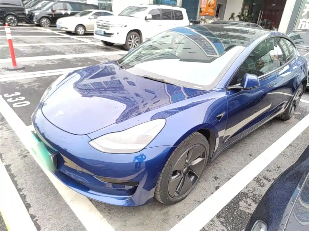 Tesla Model 3 2021